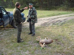 Bockjagd_Brandenburg_2009_5